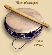 Flutet tynia