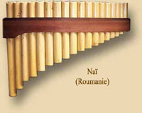 Nai